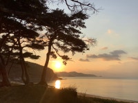  커뮤니티 - 비바 글로벌 특파원 비드바이코리아 - 해외 전문 경매대행 선두주자 커뮤니티 - 비바 글로벌 특파원