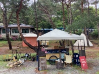 커뮤니티 - 비바특파원 - 황금박쥐캠핑장 [ 춘천점 ] - 비드바이코리아... 야후옥션, 미국 eBay 커뮤니티 - 비바특파원 - 황금박쥐캠핑장 [ 춘천점 ]