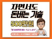 애드센스 끝판왕, 티스토리 블로그 수익으로 경제적 자유 - 크몽
