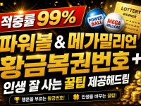 효과만점 파워볼 메가밀리언 황금복권번호30개+인생꿀팁 - 크몽