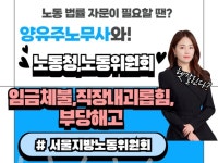 노동청 노동위원회 사건 서면작성 조력 / 출석대리 등 - 크몽