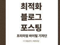 프리미엄/바이럴 블로그 기자단 - 크몽