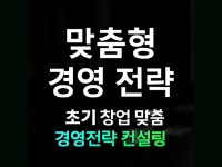 초기 창업 맞춤형 경영전략 컨설팅 - 크몽