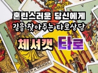 연애 진로 상담 등 길을 찾아주는 타로상담해 드립니다. - 크몽