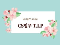 비서출신 SJ수디의 CS TIP - 크몽