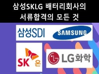 삼성SKLG 배터리회사의 서류합격의 모든 것 - 크몽