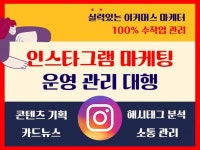 인스타그램 전문 마케터가 기획부터 직접 관리해드립니다. - 크몽