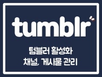 텀블러 팔로워 텀블러 좋아요 텀블러 마케팅 - 크몽