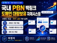 국내 PBN 백링크 / 도메인 대량보유 자체시스템 - 크몽