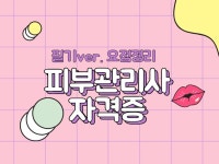 피부관리사자격증 필기 요점정리 - 크몽