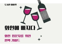 와인에 빠지다 와인 입문자를 위한 완벽 가이드 - 크몽
