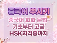 중국어 뿌시기 회화 문법 과외 기초 고급 HSK자격증 - 크몽