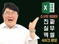 1만명 급여 담당자의 진짜 실무 엑셀 - 크몽