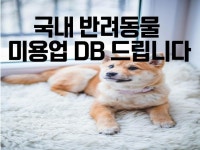 전국 반려동물 미용업 DB 드립니다 - 크몽