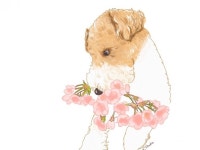 일러스트동화, 캐릭터 내지 표지 제작, 지도, 메디컬 - 크몽