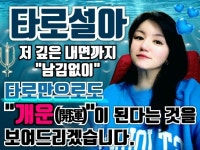 타로전문가의 속시원한 독보적 리딩/속마음타로설아 - 크몽