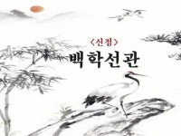 편안하고 속 시원한 신점 상담 백학선관 입니다 - 크몽