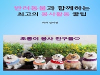 반려동물과 함께하는 최고의 봉사활동 꿀팁 - 크몽