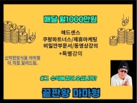 애드센스,쿠팡파트너스,제휴마케팅,디지털노마드 비법강의 - 크몽