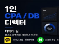 1인 유튜브 DB 전문 디렉터 - 크몽