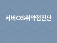서버보안 윈도우즈 유닉스 리눅스 시스템 취약점 점검 - 크몽