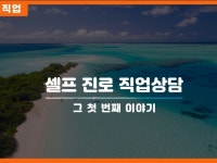 셀프 진로 직업상담 방법 드립니다. - 크몽