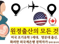 미국 출산 가이드북 핵심판ㅇ셀프 원정 출산 과정 캐나다 - 크몽