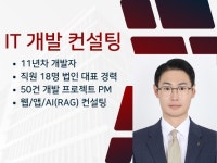 웹/앱 개발 외주 IT컨설팅,11년 경력 및 법인 운영 - 크몽