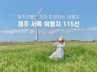 제주 스냅작가가 추천하는 제주 서쪽 여행지 100선 - 크몽