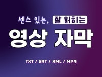 가독성 높은 영상 자막 센스있게 알아서 제작해 드립니다 - 크몽