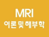 학생 및 실전 방사선사를 위한 MRI 이론,영상해부학 - 크몽