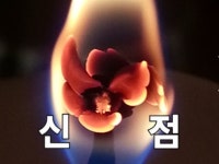 팩폭 공수로 명확한 해답을 드리는 지천태 신당 - 크몽