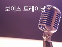일대일 보이스 트레이닝, 면접, 스피치를 도와 드립니다. - 크몽