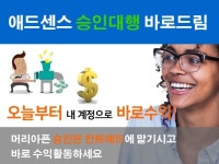 애드센스 승인 대행 바로드림 이전해드립니다 - 크몽