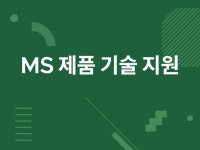 MS 제품군 기술 지원 - 크몽