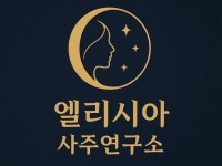 사주+점성술 종합 운명 리포트 - 크몽