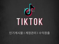 틱톡 좋아요 l 조회수 l 계정 관리 - 크몽