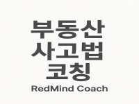 부동산 사고법 RedMind Coach 1시간실정멘토링 - 크몽