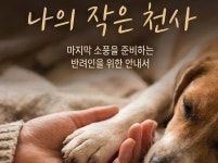 안녕.. 나의 작은 천사 - 크몽