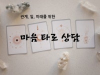 마음 타로 운세 상담 코칭 - 크몽