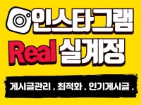 인스타그램 맞춤형 팔로워 좋아요 및 최적화 활성화 관리 - 크몽