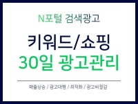 ㅣ크몽마스터ㅣ검색광고 30일 월관리 광고대행해드립니다 - 크몽