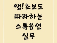쌩초보도 따라할 수 있는 스톡옵션 실무 - 크몽