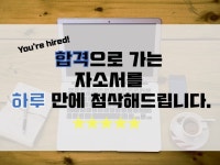 합격으로 가는 차별화된 자소서 멘토링을 하루만에 해 드립니다. - 크몽