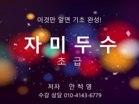 자미두수 초급 / 이것만 알면 자미두수 기초 완성 - 크몽