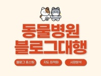 동물병원, 반려동물 블로그 마케팅 대행, 관리 서비스 - 크몽