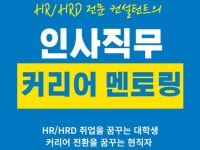 HR/HRD 전문 컨설턴트의 취업/이직 고민 상담 - 크몽