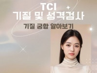 기질 및 성격검사 TCI - 크몽