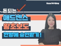 돈 되는 애드센스 왕초보도 한방에 승인받는 법 드립니다 - 크몽
