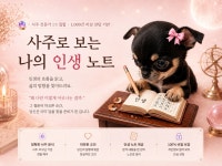 사주로 보는 나의 인생노트 - 크몽